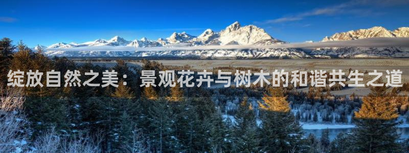 天顺娱乐中78778卧:绽放自然之美:景观花卉与树木的和谐共生之道