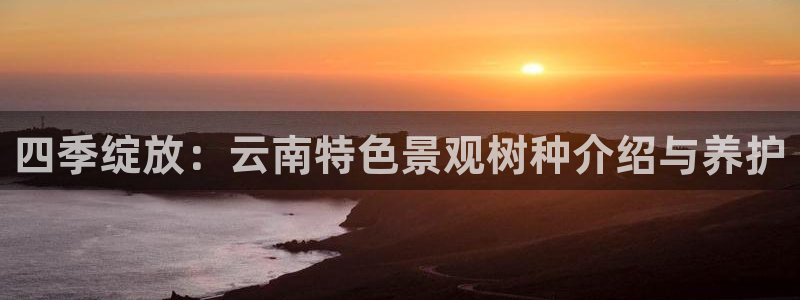 天顺娱乐招商义判官333OO:四季绽放:云南特色景观树种介绍与养护