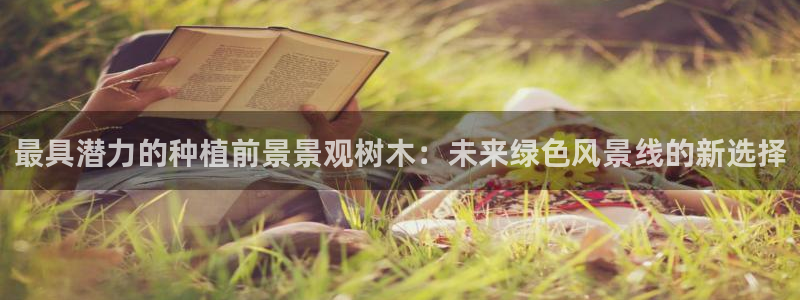 天顺娱乐皿公道p官58856:最具潜力的种植前景景观树木:未来绿色风景线的新选择